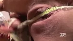 Oynat Bu kadın, erkek arkadaşı dilini içeri sokabilsin diye ormanda eteğini kaldırıyor